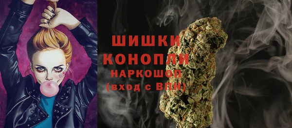PSILOCYBIN Лагань