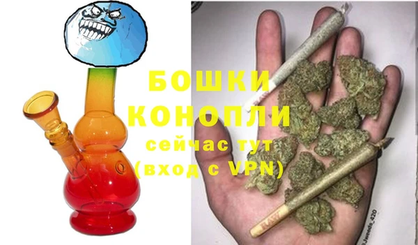 PSILOCYBIN Лагань