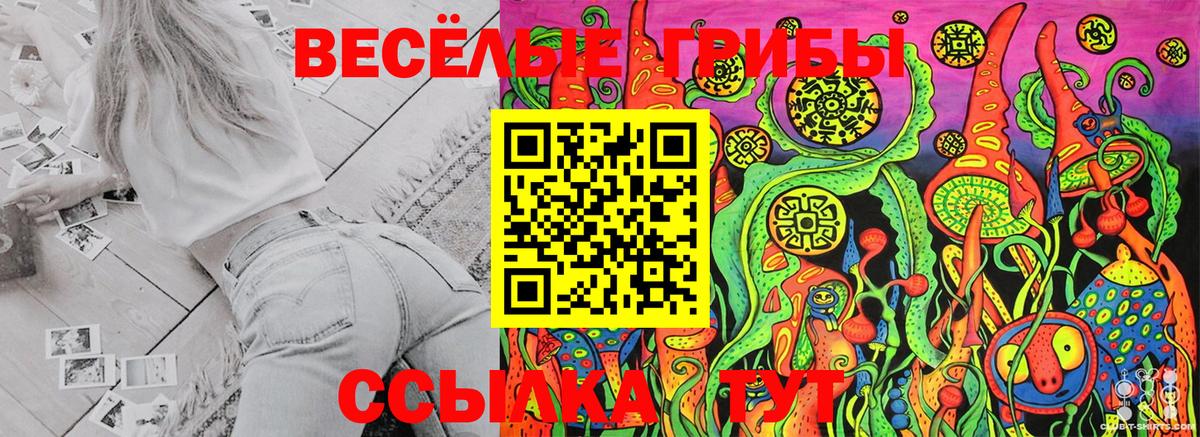 Галлюциногенные грибы GOLDEN TEACHER  Вход с VPN  Мурино 